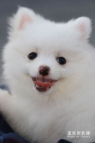 可愛? ??