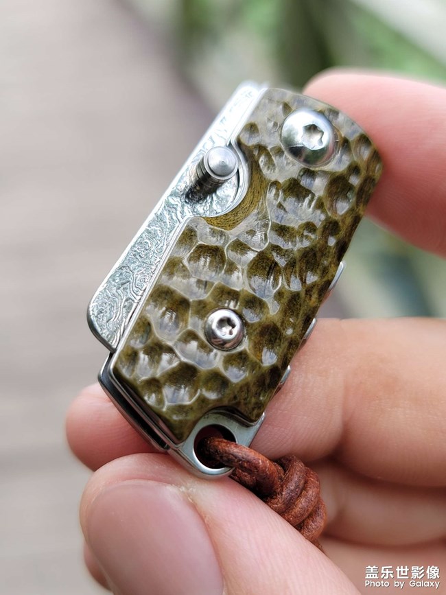 note20U，近焦拍照自動虛化，導致照片輪廓模糊