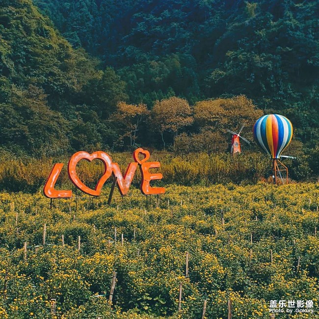 《每周星鮮事》第46期: 星粉體驗(yàn)團(tuán), 等你來參與!