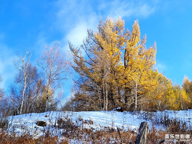 《每周星鮮事》第46期: 星粉體驗(yàn)團(tuán), 等你來參與!