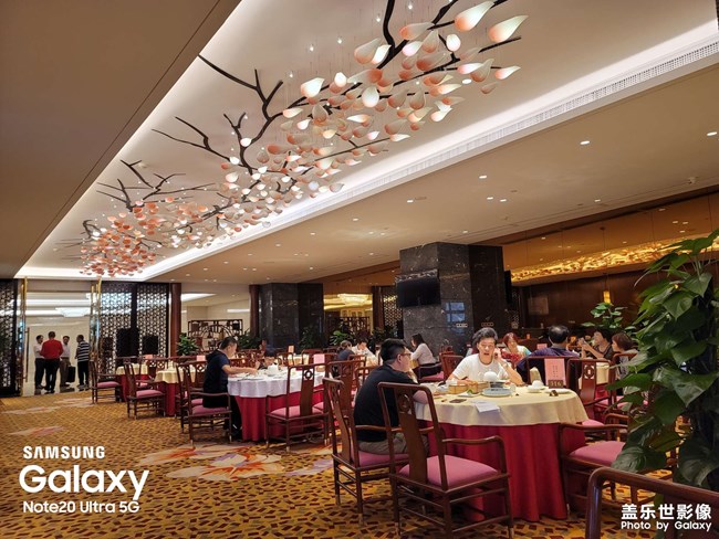 湛江花園酒店中式茶點OK