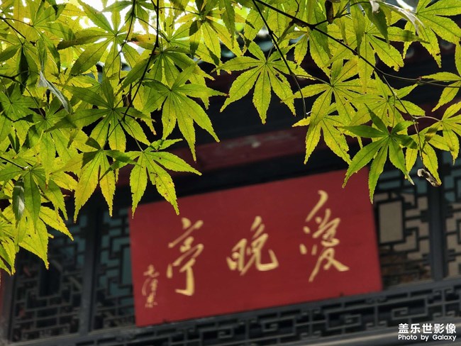 【花花世界】+ 早秋的岳麓山腳