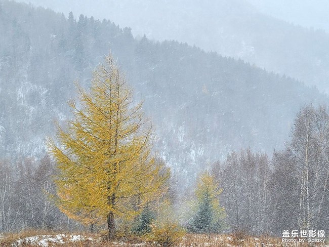 《每周星鮮事》第46期: 星粉體驗(yàn)團(tuán), 等你來參與!