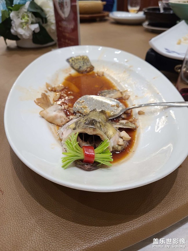 偽小資生活