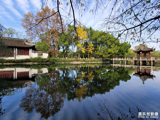 《每周星鮮事》 第52期: