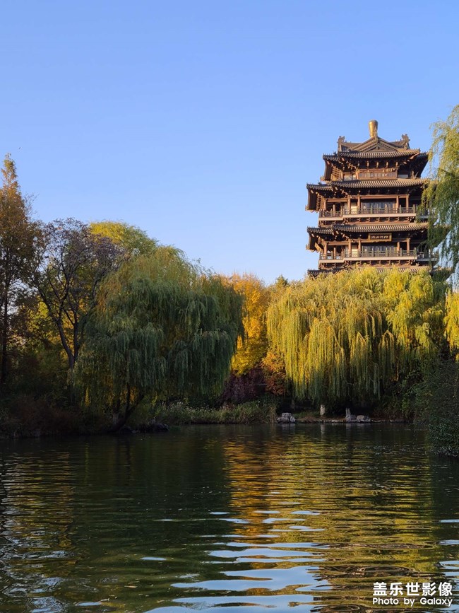 《每周星鮮事》 第52期: