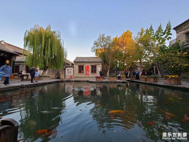 《每周星鮮事》 第54期