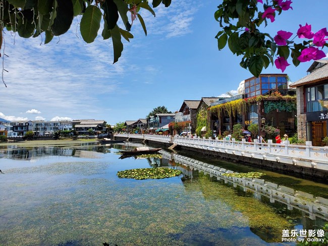 《每周星鮮事》 第52期: