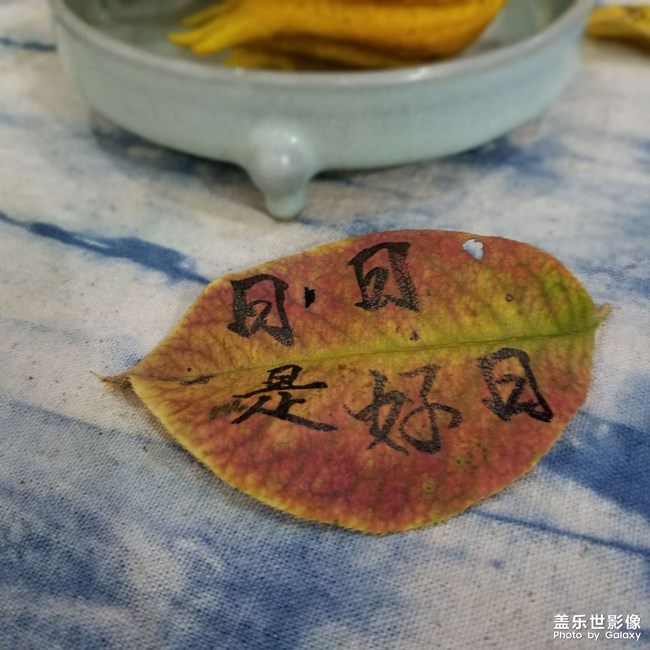 《每周星鮮事》 第52期:
