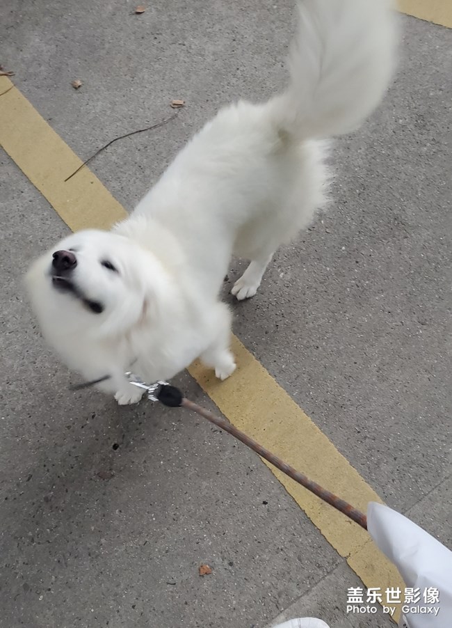 憨憨