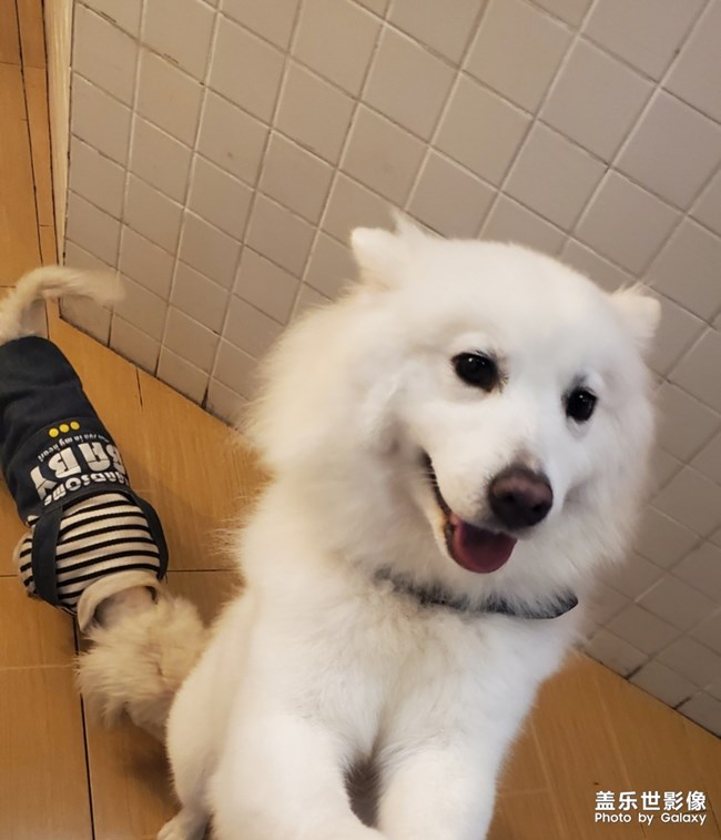 憨憨