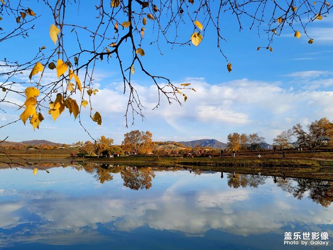 《每周星鮮事》 第54期