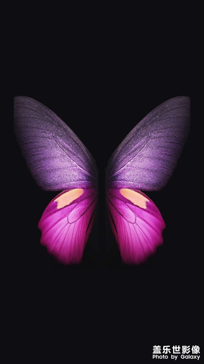 在分享一些壁紙