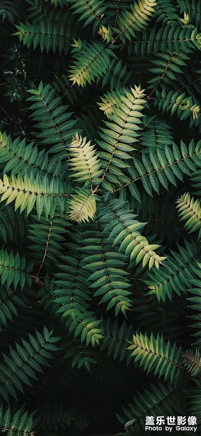 在分享一些壁紙