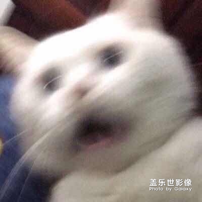 我感覺這個(gè)手機(jī)耗電挺快的