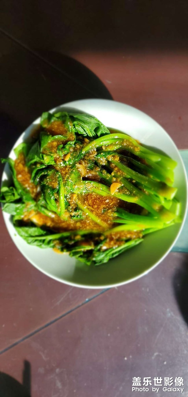 今日午餐