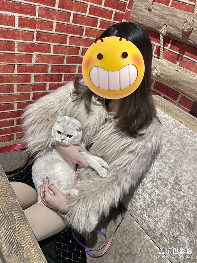 貓貓知道什么是丑照嘛??