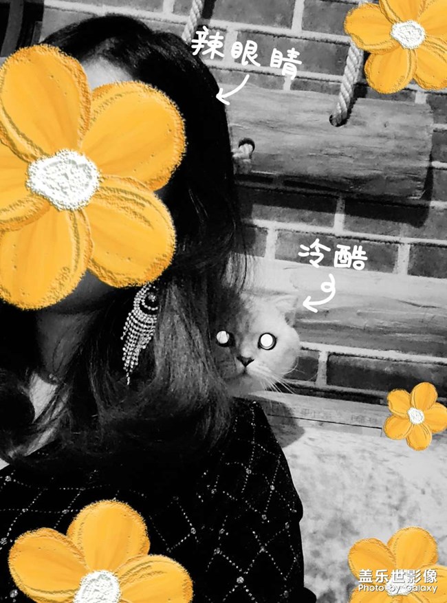 貓貓知道什么是丑照嘛??