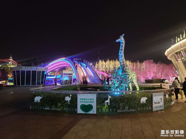 湖州龍之夢(mèng)樂園