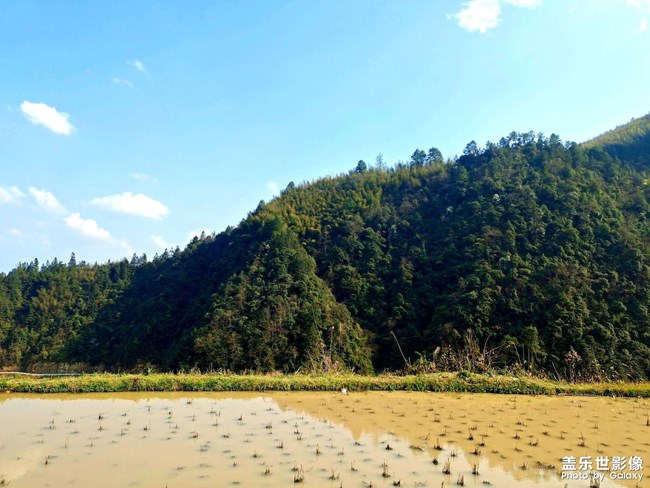 購買S20FE之前，VIVOS6的作品