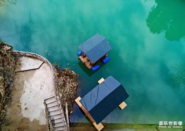 購買S20FE之前，VIVOS6的作品