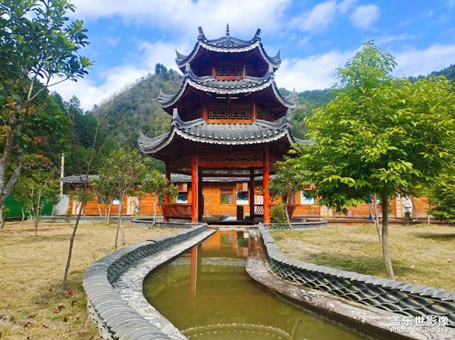 購買S20FE之前，VIVOS6的作品