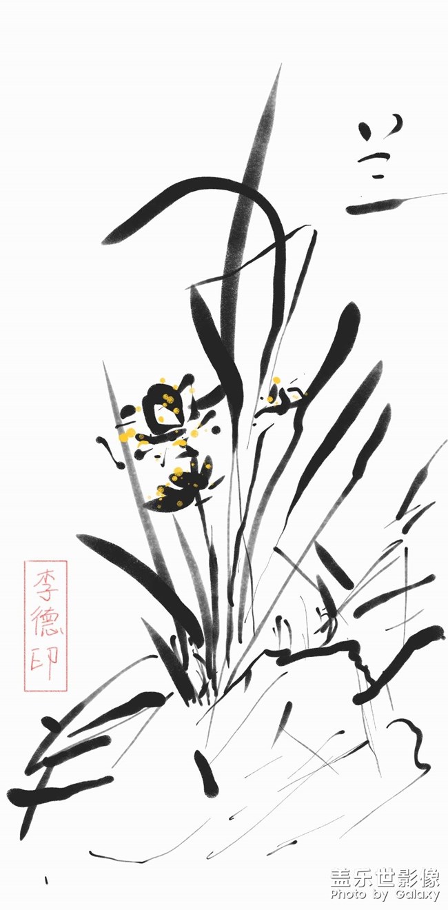 隨手畫一下
