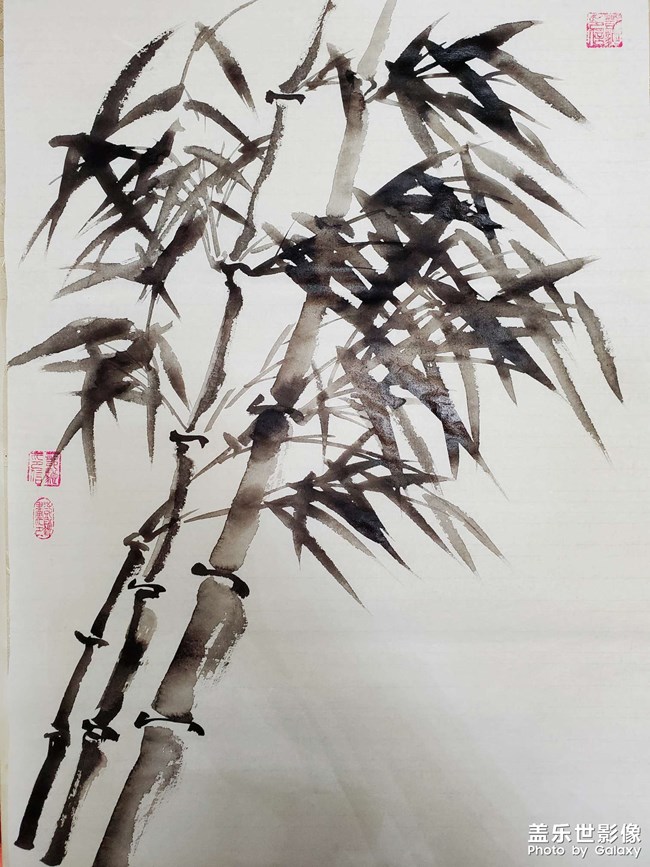 竹蘭