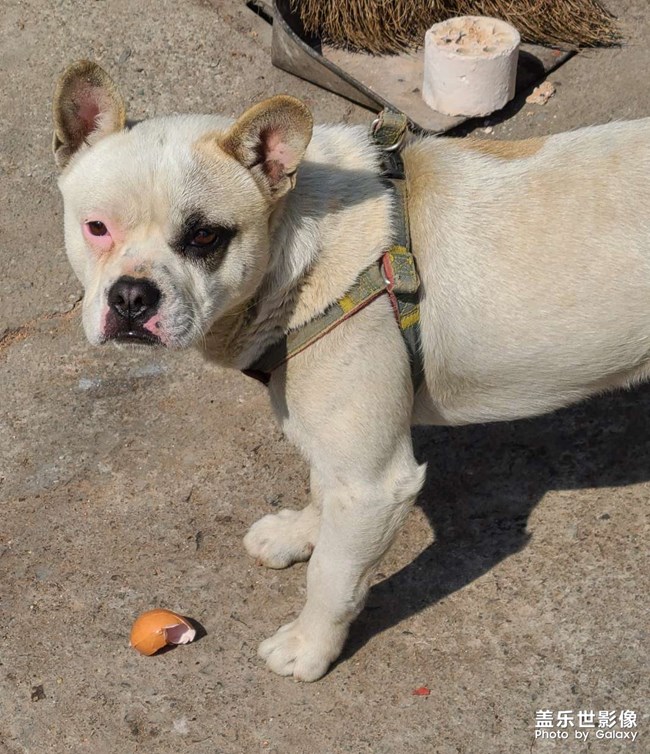 論化妝的重要性