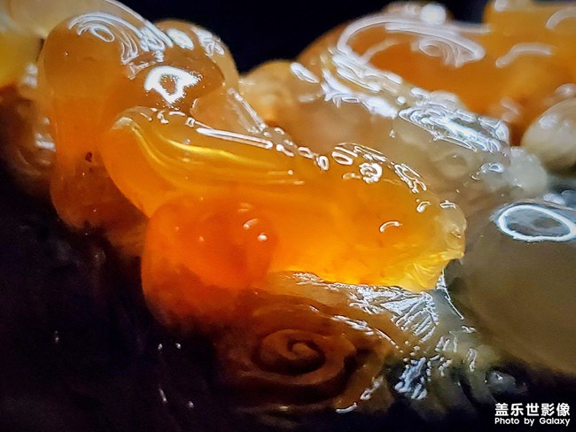 寶貝，你的寶貝是什么？