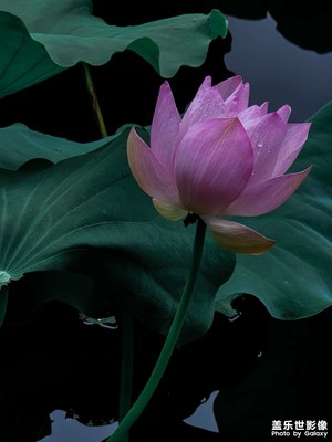 隨拍學(xué)校一角