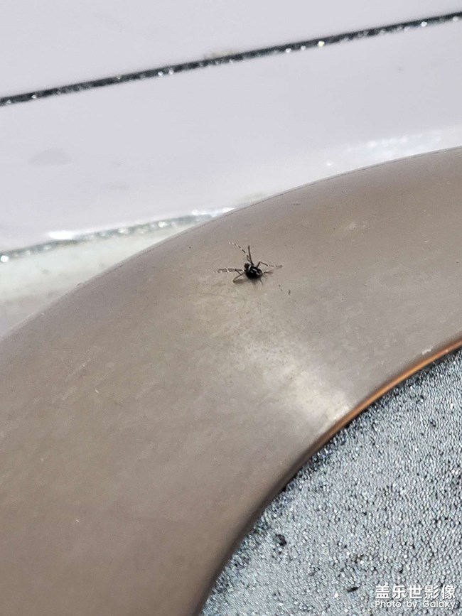 能說到做到的人，會(huì)讓人覺得踏實(shí)又浪漫