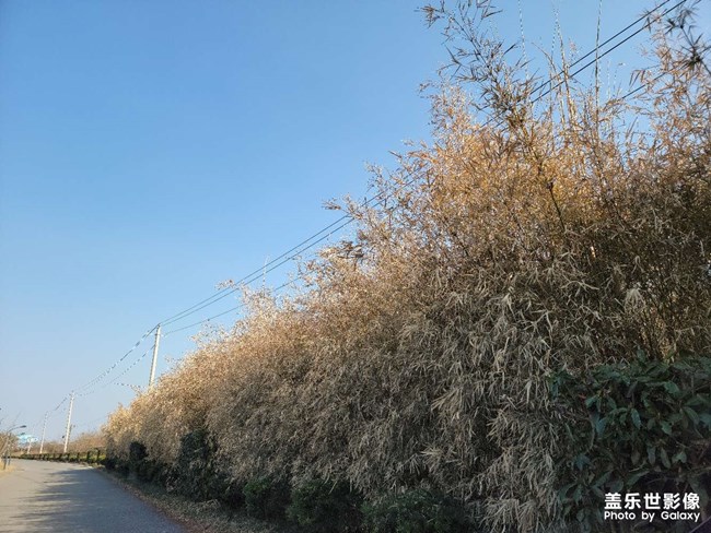 5問蓋樂世社區(qū)經(jīng)理（S21板塊）