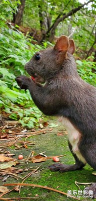 【星動一夏】發(fā)現(xiàn)夏日美景