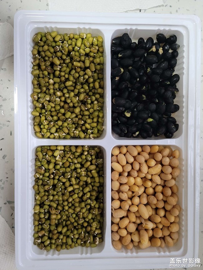 發(fā)豆芽