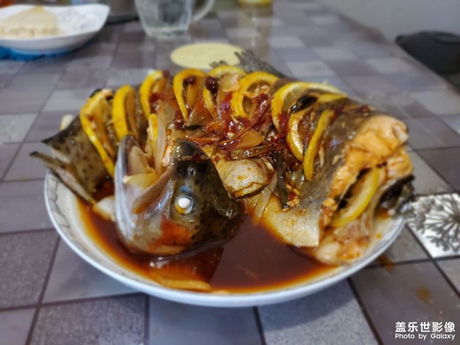 做個虹鱒魚