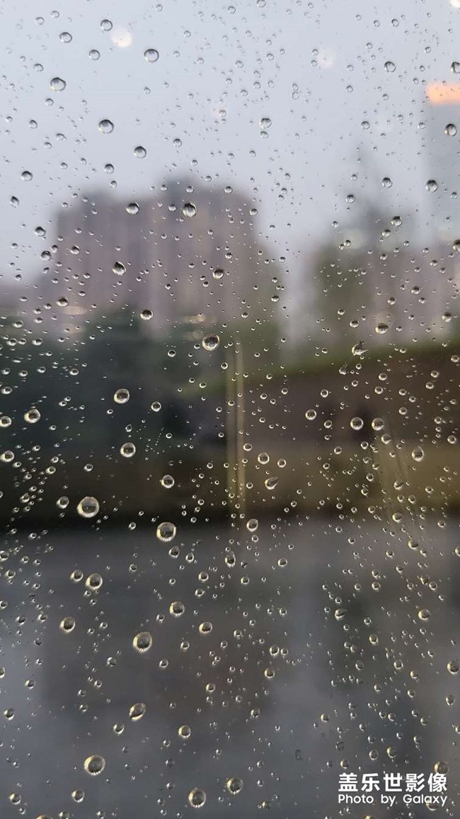 每日一雨