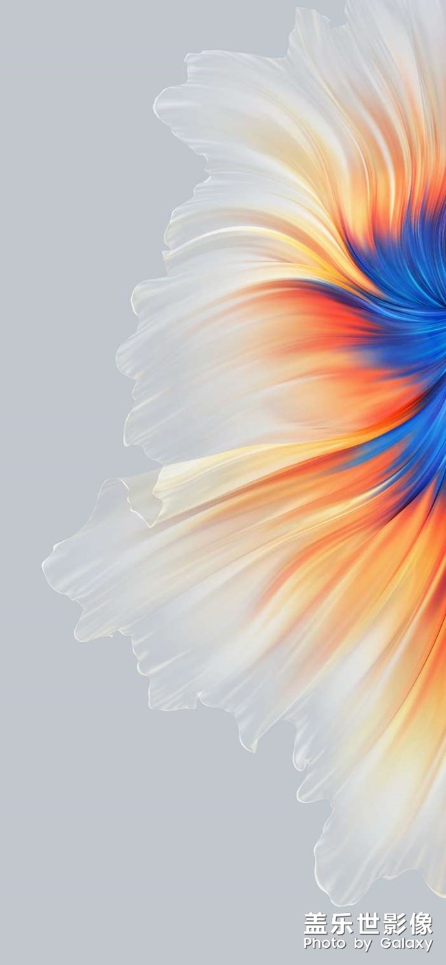 Samsung galaxy s21壁紙