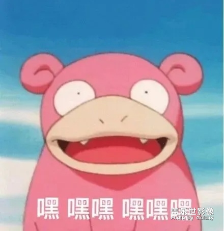 呆呆獸
