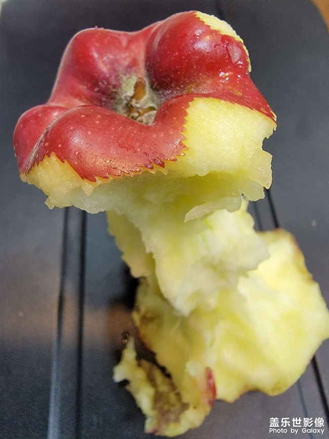 抓拍美的瞬間??