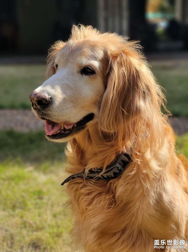 mo姐的晚年生活