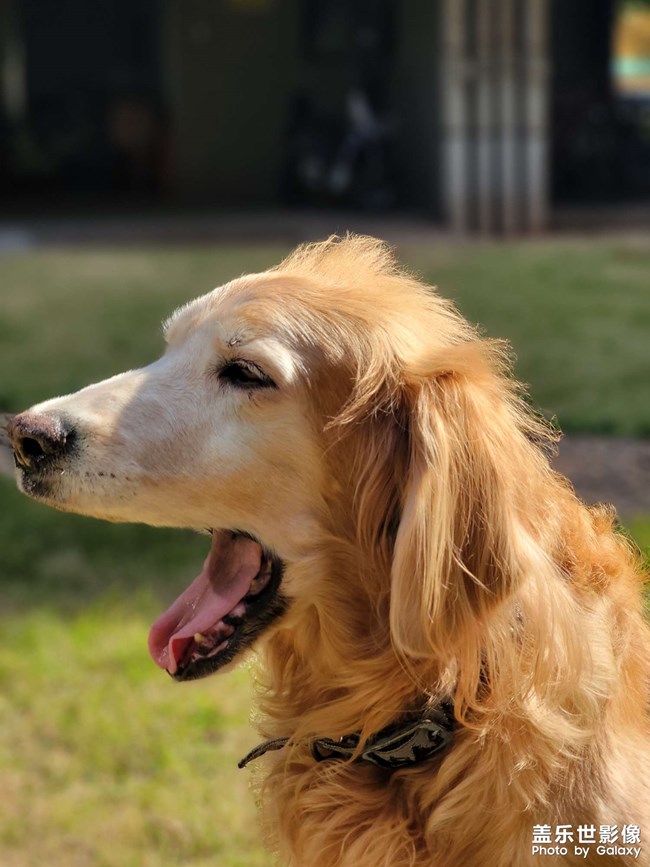 mo姐的晚年生活