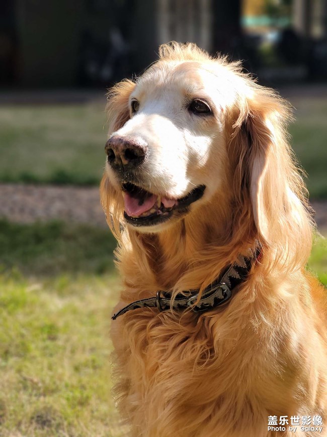 mo姐的晚年生活