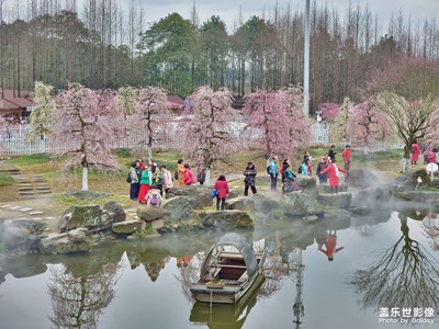 【場(chǎng)景小拍】+仙氣飄飄