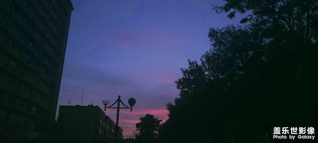 他日若遂凌云志，敢笑黃巢不丈夫。