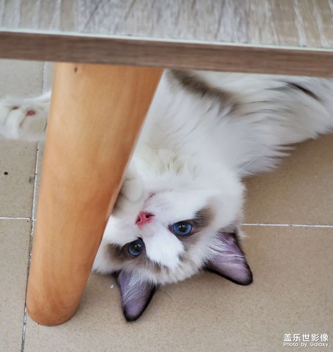 2個(gè)月到1歲的成長記錄