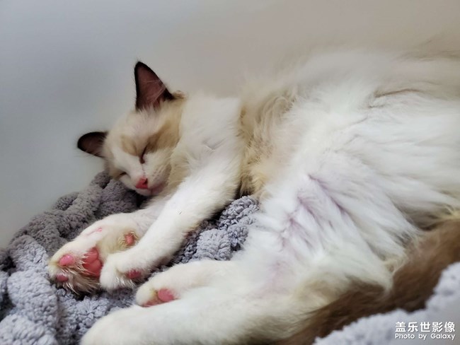 2個(gè)月到1歲的成長記錄