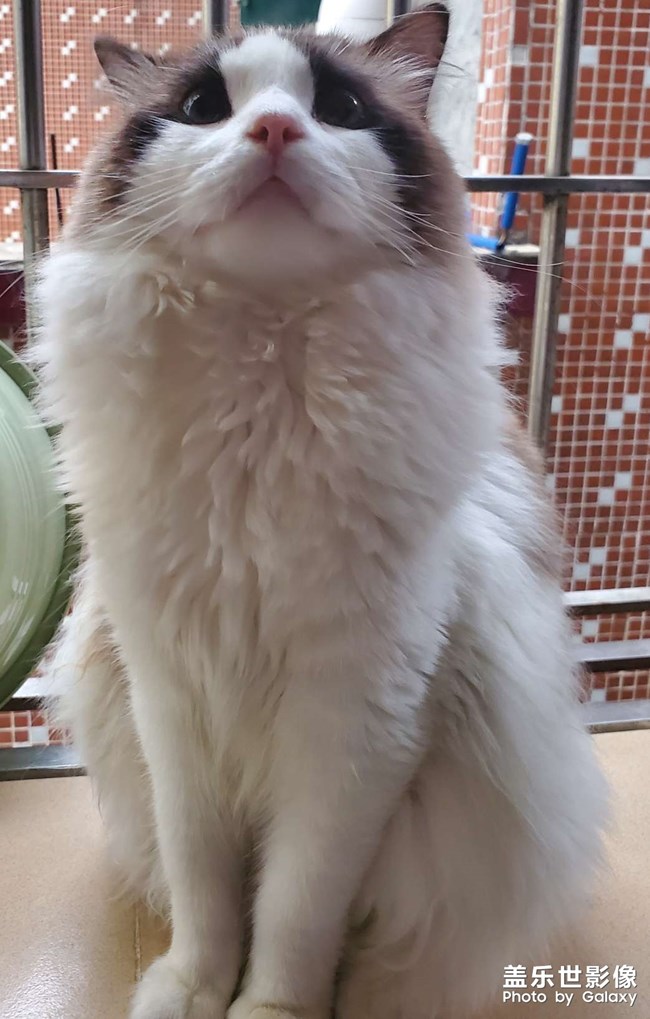 2個(gè)月到1歲的成長記錄