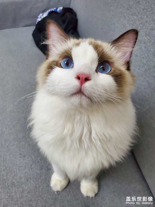 2個(gè)月到1歲的成長記錄