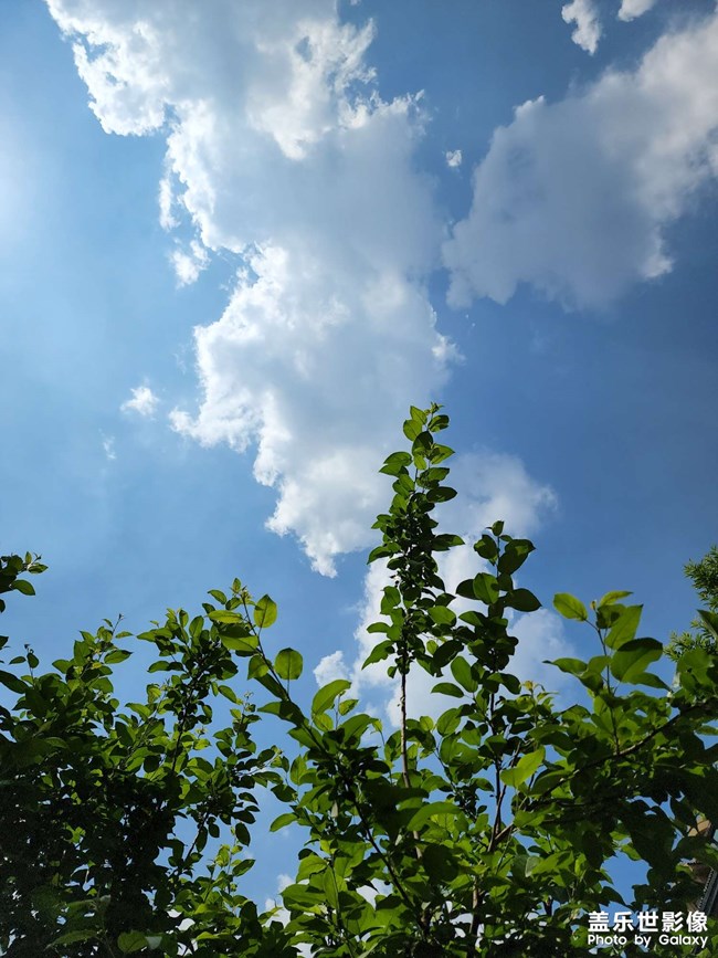 藍藍的天空